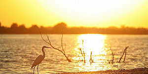 sfantu gheorghe splendoare in delta