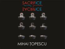 sacrifice expozitie deschisa la venetia de maestrul mihai topescu